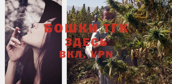 мдпв Краснослободск