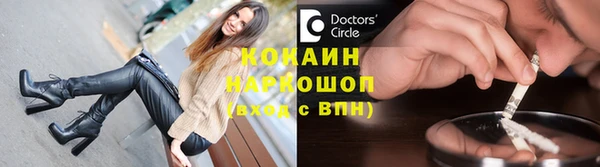 мдпв Краснослободск
