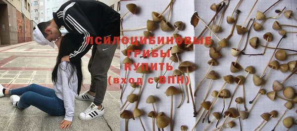 мдпв Краснослободск