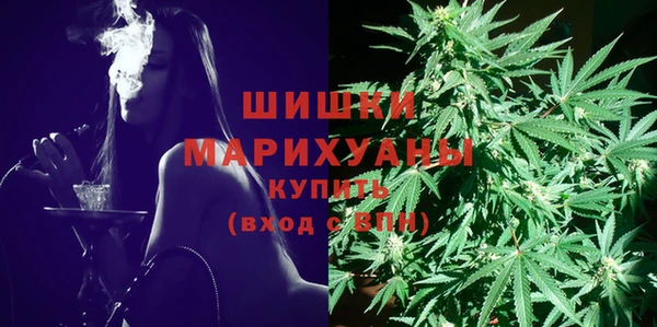 мдпв Краснослободск