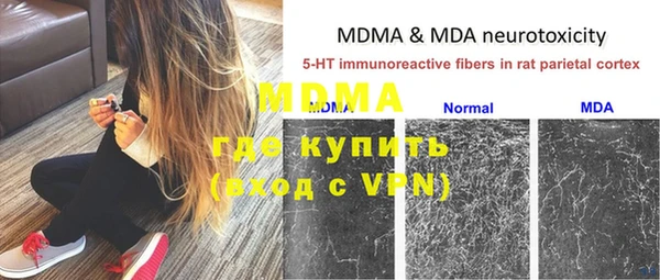 мдпв Краснослободск