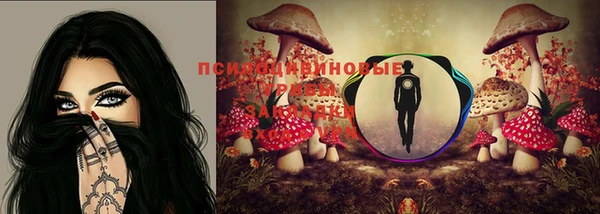 дживик Кукмор