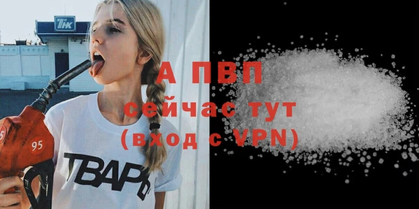 мдпв Краснослободск