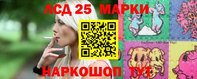 амф Дубна